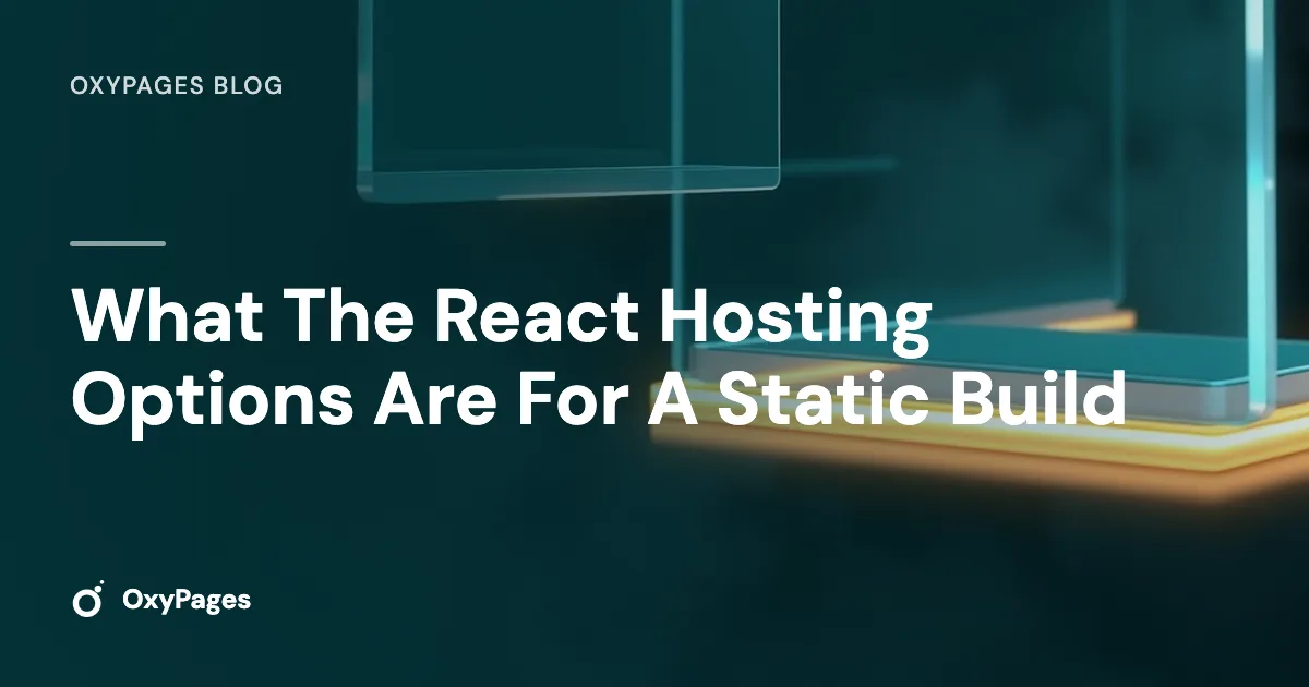 What The React Hosting Options Are For A Static Build