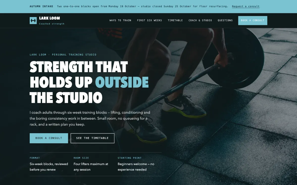 Lark Loom Personal Trainer