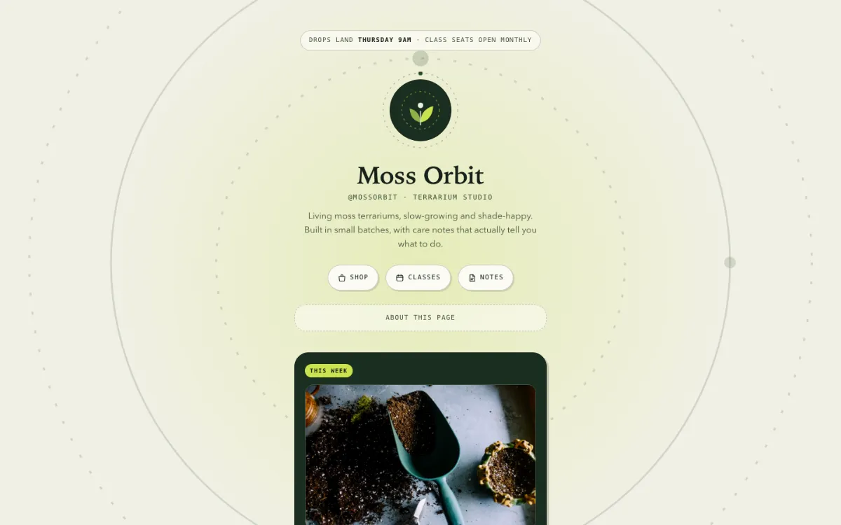 Moss Orbit Link In Bio