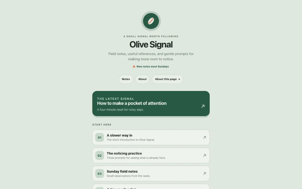 Olive Signal Link In Bio
