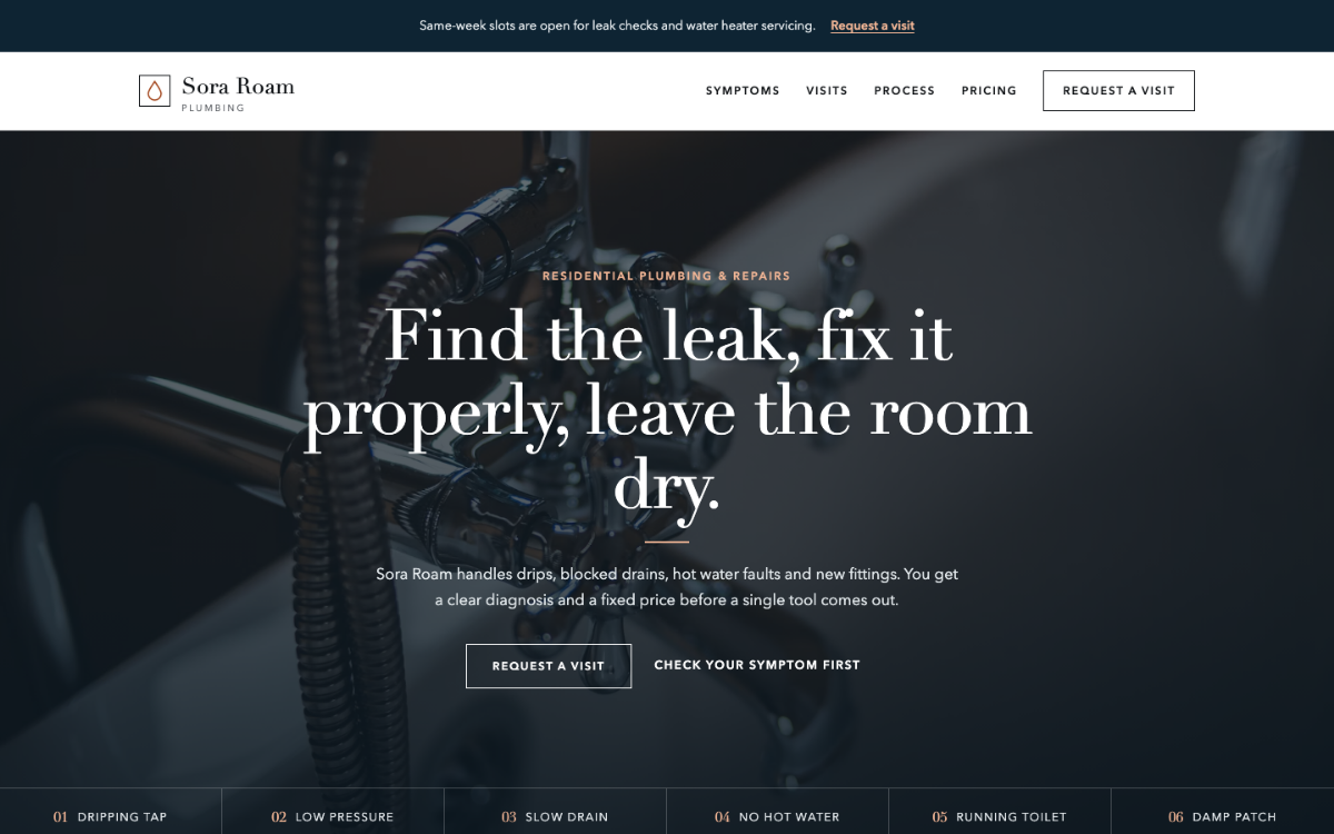 Sora Roam Plumber