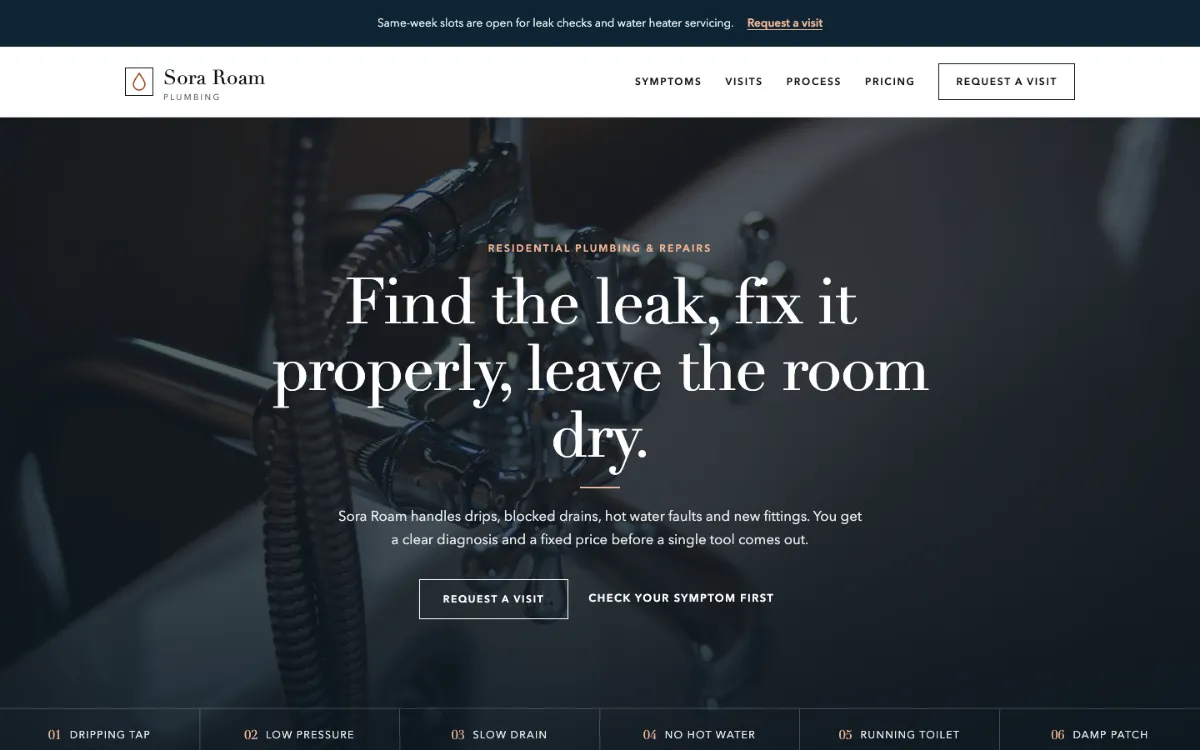 Sora Roam Plumber