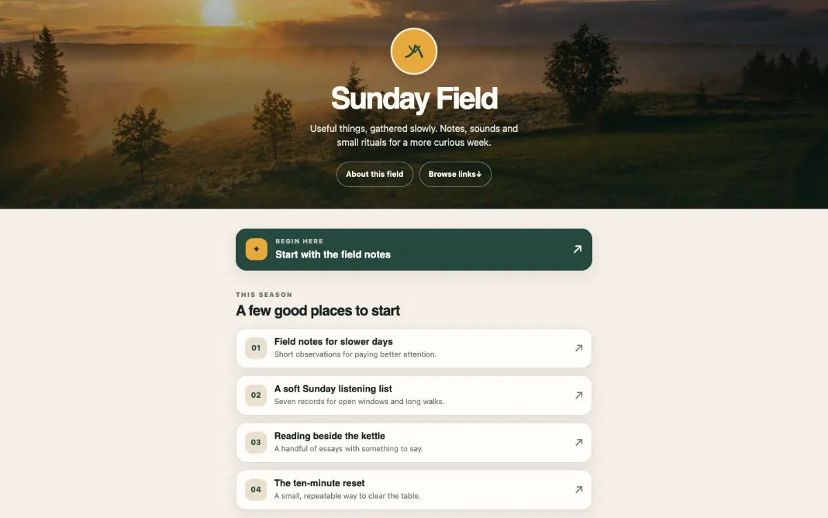 Sunday Field Link In Bio
