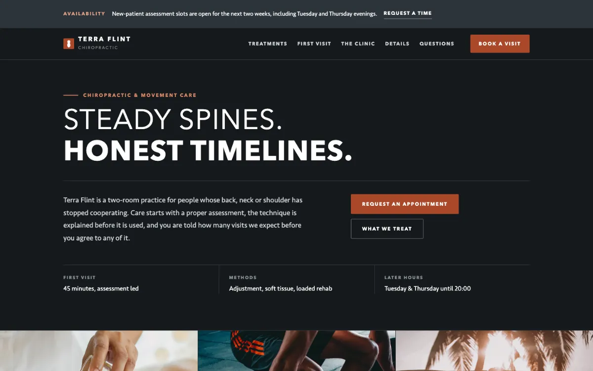 Terra Flint Chiropractor