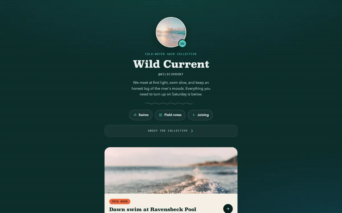 Wild Current Link In Bio