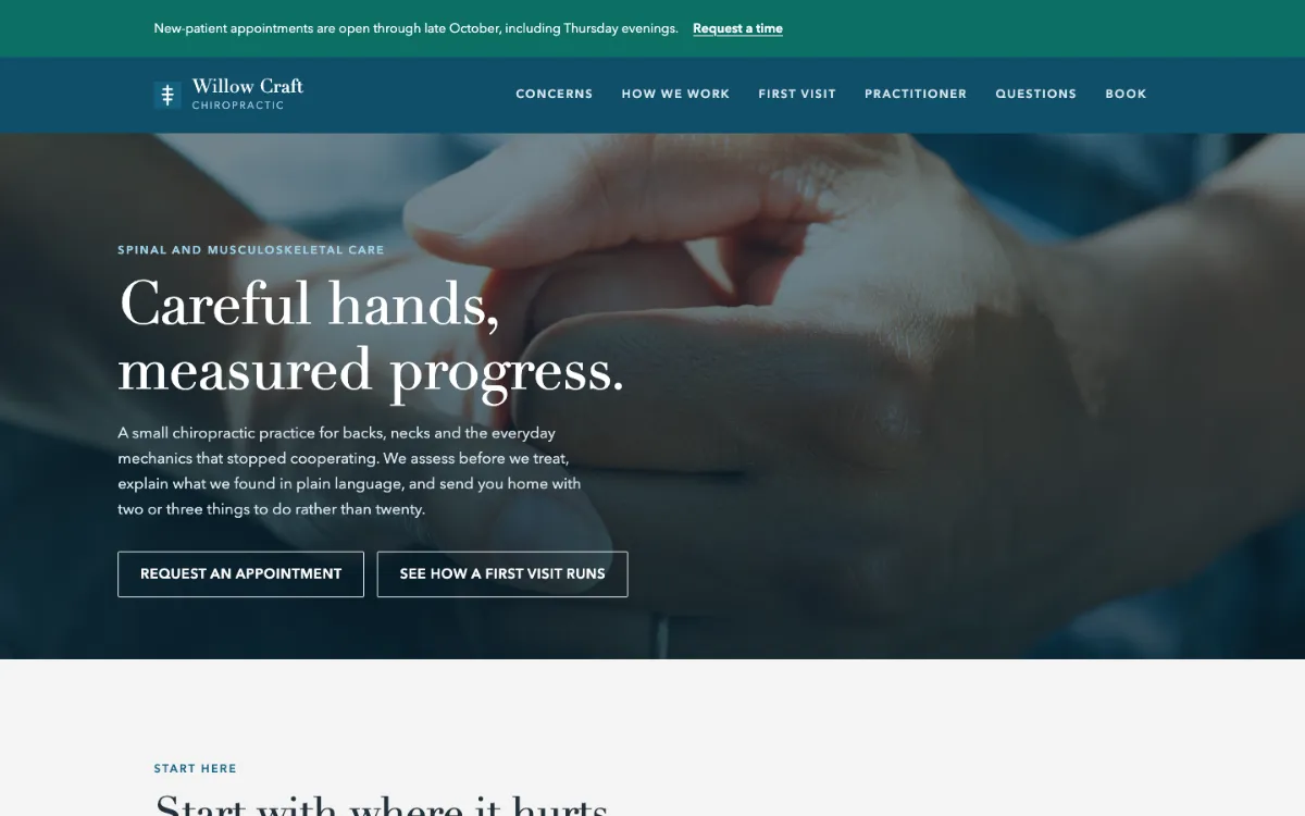 Willow Craft Chiropractor